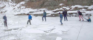 395,1-ice1