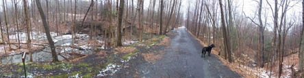 475,2-Trail